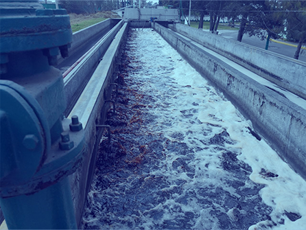 NORMATIVIDAD EN MÉXICO PARA EL TRATAMIENTO DE AGUA RESIDUAL