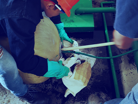 Operación de plantas de tratamiento